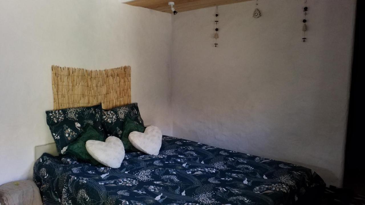 Le Petit Nid Bed and Breakfast Sablieres Exteriör bild