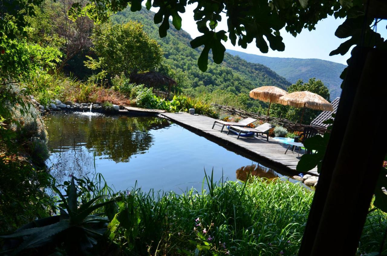 Le Petit Nid Bed and Breakfast Sablieres Exteriör bild